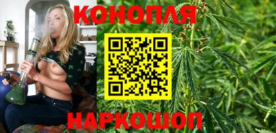 стафф Можга