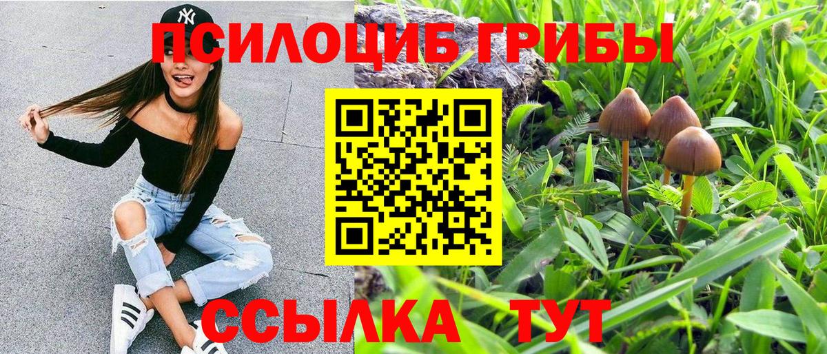 Псилоцибиновые грибы GOLDEN TEACHER Чайковский