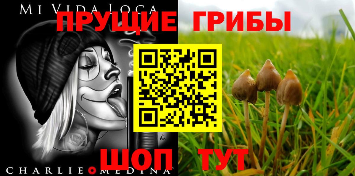 Чайковский  купить наркоту  Вход с VPN  Галлюциногенные грибы ЛСД 